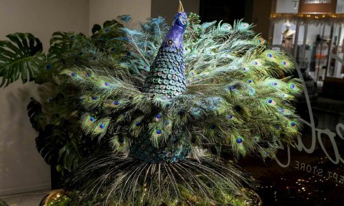 Je li ovo najljepši izlog u Zagrebu? Poznati dizajner nakita servirao blagdansku čaroliju