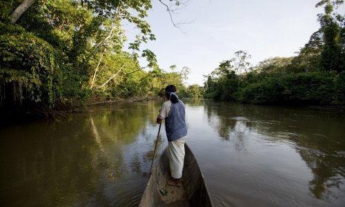 Dodjeljen 'Zeleni Nobel' za zaštitu Amazonske prašume