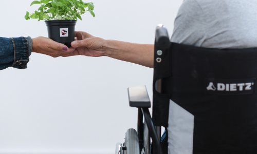 Sabor podržao 11. svibnja za Nacionalni dan palijativne skrbi