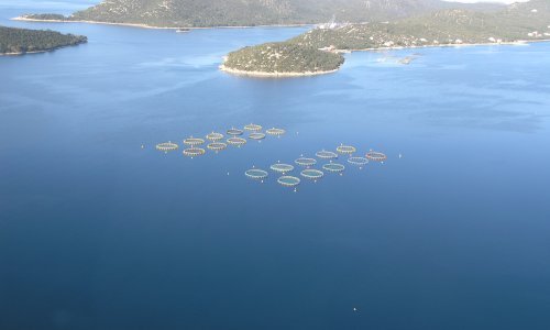 Poplavljeni Cromaris: Sretni smo što nitko nije nastradao