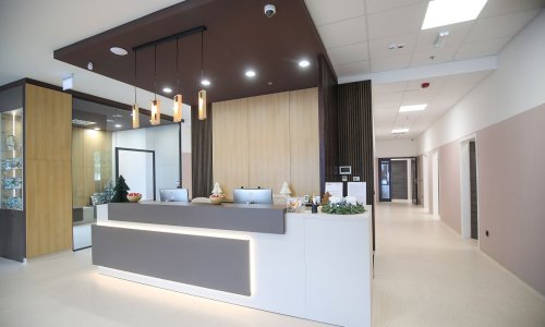 Kako spriječiti da mački posjet veterinaru bude stresno iskustvo?