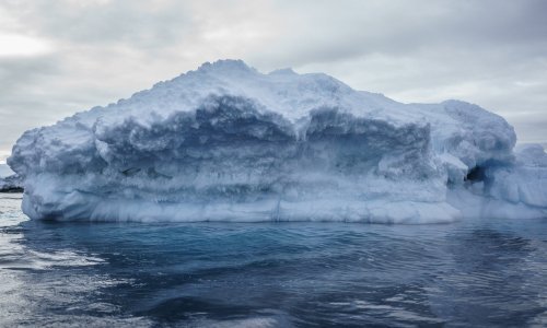 DNK hobotnice otkrio tragove otapanja leda na Antarktici prije 120.000 godina