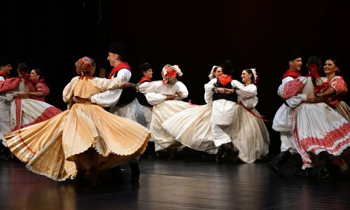 Ovo su 'projekti od interesa' za Hrvate izvan RH i pojedinci na koje ide 880 tisuća eura