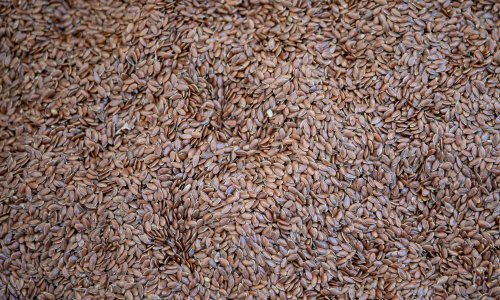 S polica se povlače sjemenke lana zbog povećane količine cijanovodične kiseline