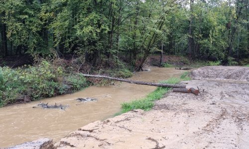 Dabar srušio topolu na dalekovod, dio općine ostao bez struje