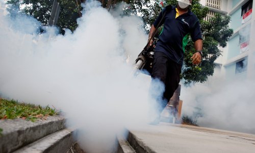Virus zika više nije prijetnja svjetskom zdravlju