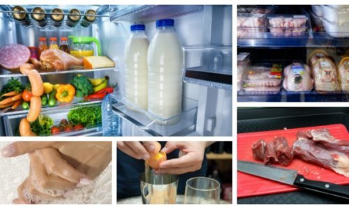 Opasnost od salmonele nije prošla! Kako izbjeći trovanja hranom