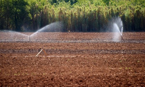 Država nema pouzdane podatke o površinama pokrivenima sustavima za navodnjavanje