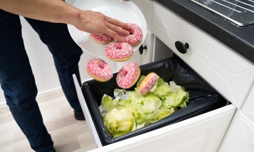 Što je 'sindrom dobre domaćice' i kako Hrvatska stoji po pitanju bacanja hrane