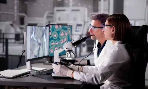 Europa ima jedinstvenu priliku izbjeći ovisnost o Kini: Trump joj u tome nesvjesno pomaže