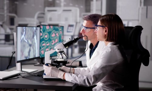 Trump steže, Austrija otvara vrata: Kako su američki znanstvenici pronašli spas u Europi