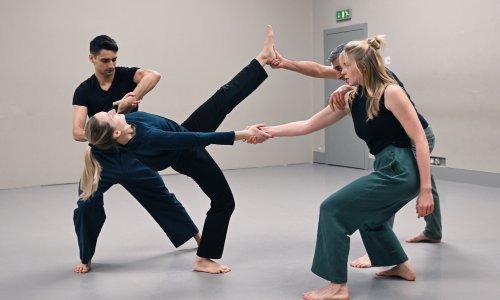 Vesna Mimica o plesnoj predstavi 'Na sceni'