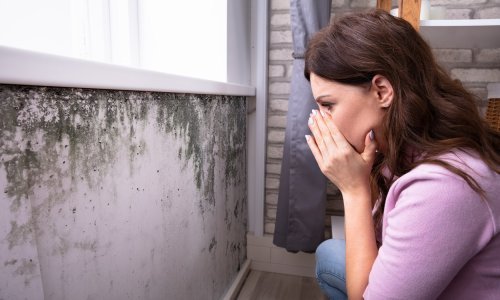 Pojavljuju vam se vlaga i plijesan na zidovima? Trebate učiniti ovo