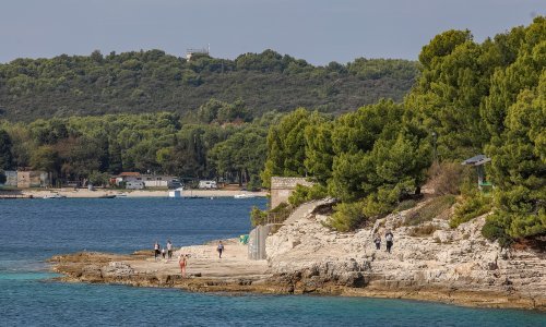 Zelena Istra i inicijativa Za Lungomare protiv sječe stabala u Puli