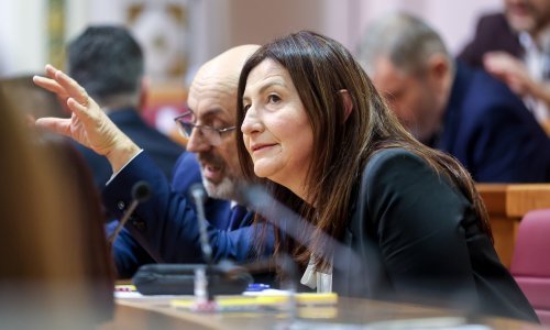 U Saboru prisegnula Ljubica Jembrih koja mijenja Damira Habijana