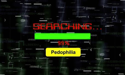 Djeca mlađa od deset godina sve su češće meta pedofila na internetu