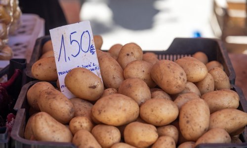 Hrvatska bilježi jedan od najvećih rasta cijene krumpira među članicama EU