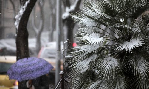 Snijeg u Rijeci i gotovo cijeloj Istri, pogledajte te prizore