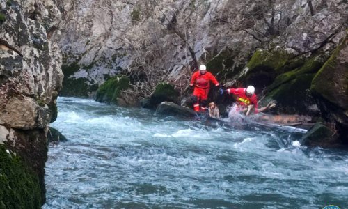 HGSS-ovci spasili psa iz kanjona rijeke Čikole: 'Nadamo se da će ga netko udomiti'
