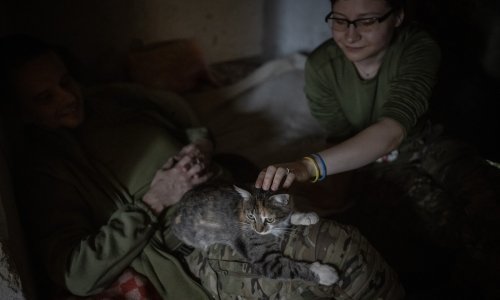 Ratne mačke igraju važnu ulogu na bojištu u Ukrajini, prikupljaju i donacije