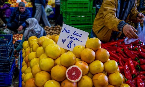 U kamionu iz Turske koji je išao za Hrvatsku pronađen grejp pun opasnog insekticida