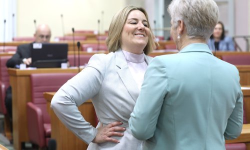 HDZ-ovka koja je strane radnike nazvala 'škuri, crni i mali' pojasnila svoju izjavu