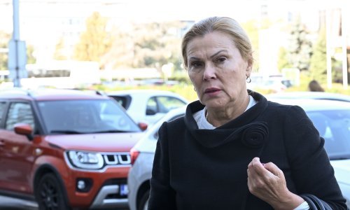 Severinina odvjetnica: Ne radi se o jednom postupku, provedeno ih je preko 100