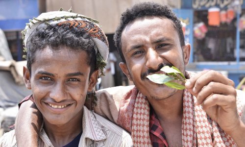 Žvaču ga svi jer pruža osjećaj sitosti, a koriste ga i djeca vojnici: Što je kat i kako djeluje