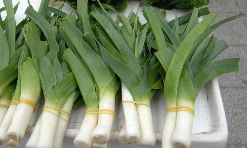 Zbog previše pesticida povučen poriluk s placa na Kvatriću