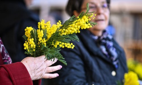 Crne statistike: Svaki treći dan jedna žena umre od raka vrata maternice
