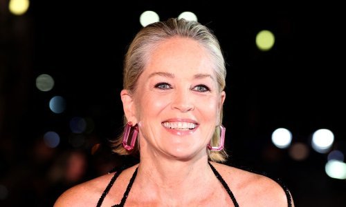 Bilo je tu svačeg: Sharon Stone otkrila svoje iskustvo s aplikacijama za dejtanje