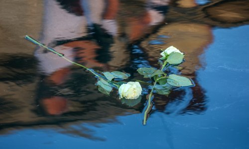 'Bosanski Mengele': Liječnik iz Brčkog u fontanu uzidao kosti ubijenih u Srebrenici