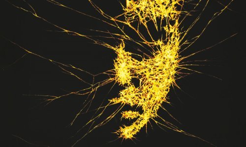 Napeta mafijaška saga i raskošna priča o ženskoj žudnji – u Frakturi pronađi dva hit-naslova!