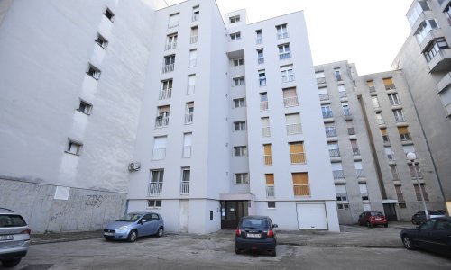 Vlasniku staforda koji je izgrizao staricu prijeti i do osam godina zatvora