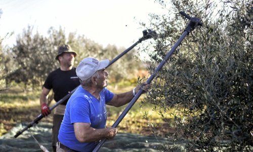Poljoprivrednici u Španjolskoj prijete prosvjedima