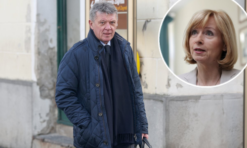 Politologinja Leinert-Novosel: U slučaju Turudić, Plenković ima dvije solucije