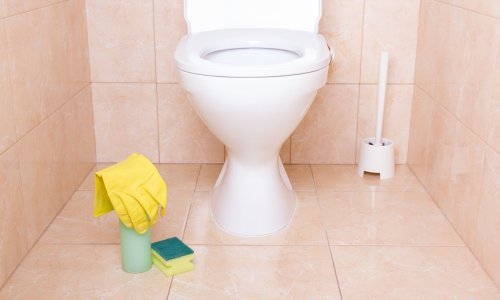 Štiti li spuštanje daske pri puštanju vode od bakterija i virusa? Evo što kaže znanost