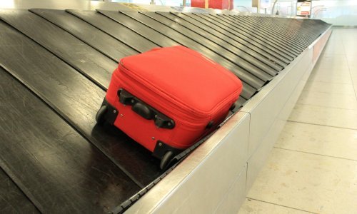 Kakav ulov na aerodromu: Carinici ostali u šoku, pokušao je mirno ući u avion