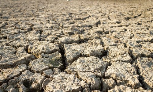 Prošla godina bila vjerojatno najtoplija u 100.000 godina