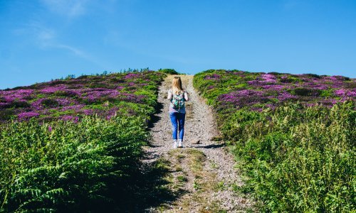 Ljubičasto iznenađenje koje krije okus Mediterana i ni manje ni više nego – šljokice!