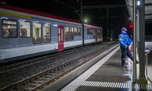 Azilant četiri sata držao taoce u švicarskom vlaku, policija ga na kraju ubila