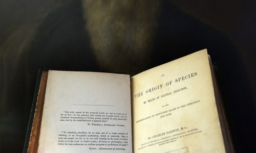 Golema osobna biblioteka Charlesa Darwina uskoro će biti objavljena online