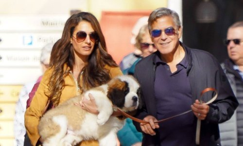 Tvrdoglavi Nelson: Novi član obitelji zadaje prave muke Clooneyjevima