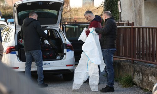 U požaru na Maksimiru poginuo sin, oca spasili vatrogasci