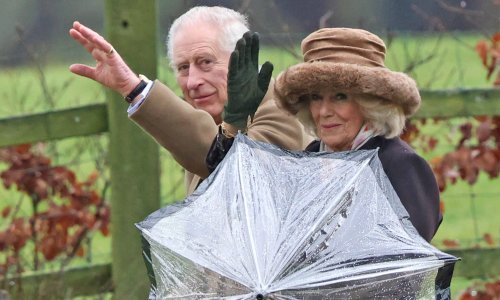 'Nema šanse' da se princ Harry vrati kao radni član kraljevske obitelji unatoč maslinovoj grančici