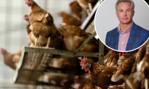 Macron žestoko napao Ukrajinca koji gradi farme peradi u Hrvatskoj