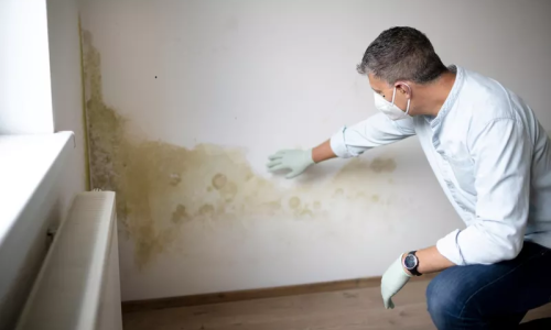 5 najčešćih pitanja vezano uz pojavu vlage ili plijesni u kući/stanu