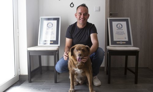 Bobi postumno izgubio titulu najstarijeg psa na svijetu