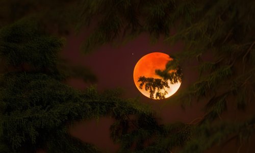 Pun Mjesec je u Djevici, a evo kako se to odražava na vas