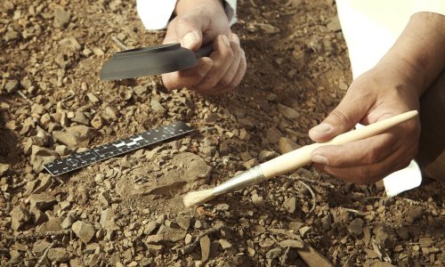 Znanstvenici otkrili prvi potpuni fosil 'zmaja' starog 240 milijuna godina